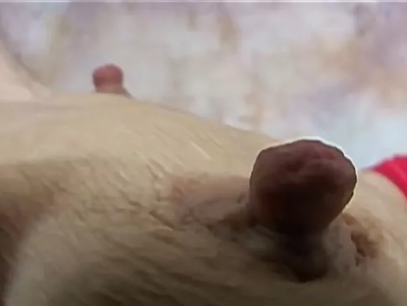 Awọn omu saggy kekere, awọn ori ọmu saggy nla ti dagba 4.